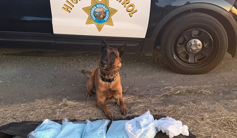 CHP Seizes 50,000 Fentanyl Pills in San Joaquin County Operation Assisted by K9 Hanks