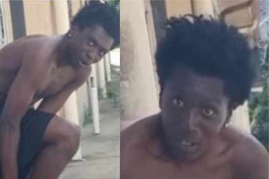 Cincinnati Police Seek Community Help in Criminal Damaging Case on Beekman Street