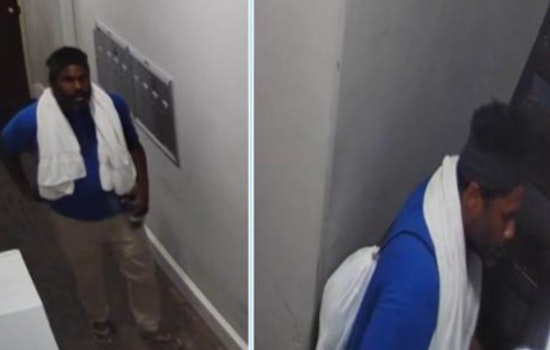 Cincinnati Police Seek Public Help to Identify Suspect in Daylight Burglary on Sycamore Street