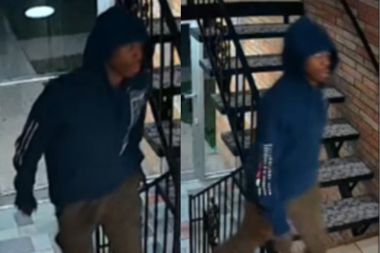 Cincinnati Police Seek Public's Help in McHenry Avenue Theft Case
