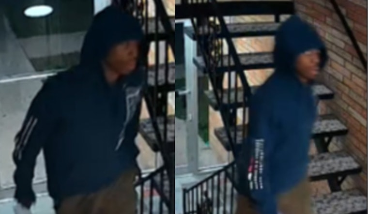 Cincinnati Police Seek Public's Help in McHenry Avenue Theft Case