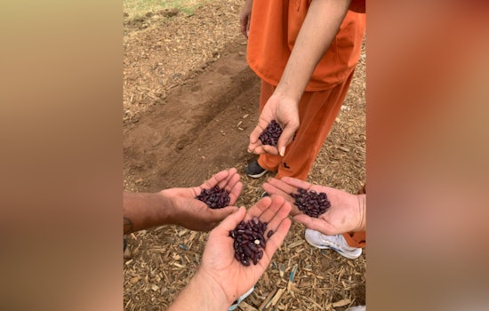 Cleveland County Jail Launches Inmate Gardening Program for Sustainability and Rehabilitation
