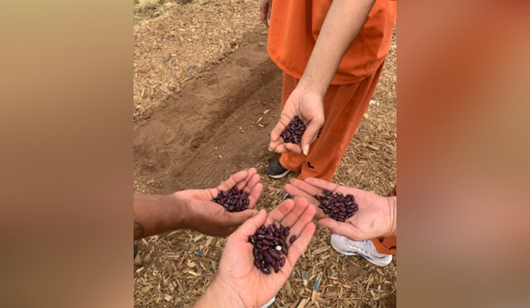 Cleveland County Jail Launches Inmate Gardening Program for Sustainability and Rehabilitation