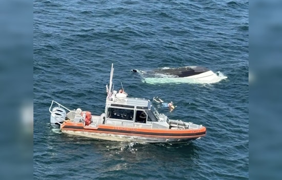 Coast Guard Helicopter Crew from Detroit Heroically Saves Four Off Erie, Pennsylvania Waters