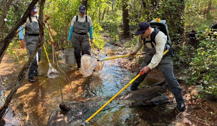 Colorado Parks and Wildlife Biologists Conduct Fish Population Survey in Bear Creek Near Gold Camp Road