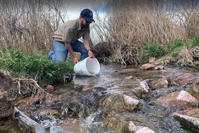 Colorado Springs Joins in Restoring Native Arkansas Darter Fish Population with Sand Creek Release Event