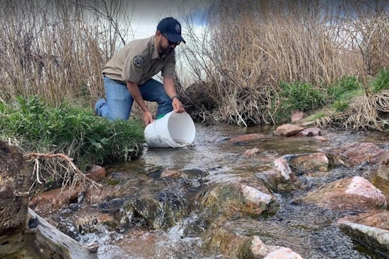 Colorado Springs Joins in Restoring Native Arkansas Darter Fish Population with Sand Creek Release Event