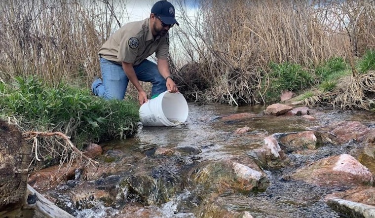 Colorado Springs Joins in Restoring Native Arkansas Darter Fish Population with Sand Creek Release Event