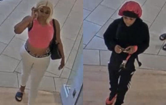 Columbus Police Seek Public's Assistance to Identify Suspects in Polaris Parkway Felony Theft Case