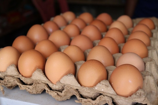Country Eggs, LLC Initiates Nationwide Recall Amid Multi-State Salmonella Outbreak Linked to Cage-Free Eggs