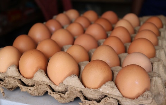 Country Eggs, LLC Initiates Nationwide Recall Amid Multi-State Salmonella Outbreak Linked to Cage-Free Eggs