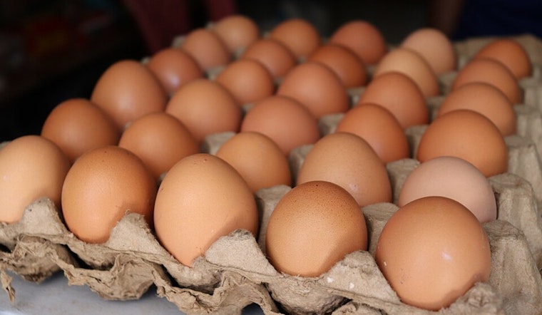 Country Eggs, LLC Initiates Nationwide Recall Amid Multi-State Salmonella Outbreak Linked to Cage-Free Eggs
