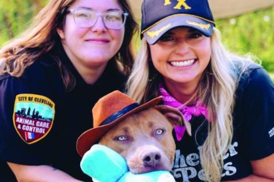 Country Star Miranda Lambert Champions Shelter Pets During Cleveland Kennel Visit Amid Tour