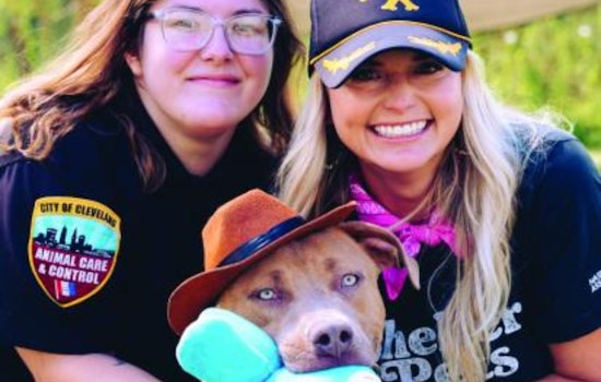 Country Star Miranda Lambert Champions Shelter Pets During Cleveland Kennel Visit Amid Tour