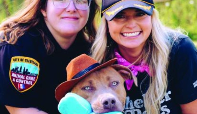 Country Star Miranda Lambert Champions Shelter Pets During Cleveland Kennel Visit Amid Tour