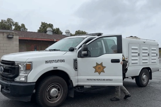 County Animal Services Launches Legal Probe into Alleged Horse Neglect in Rancho Santa Fe