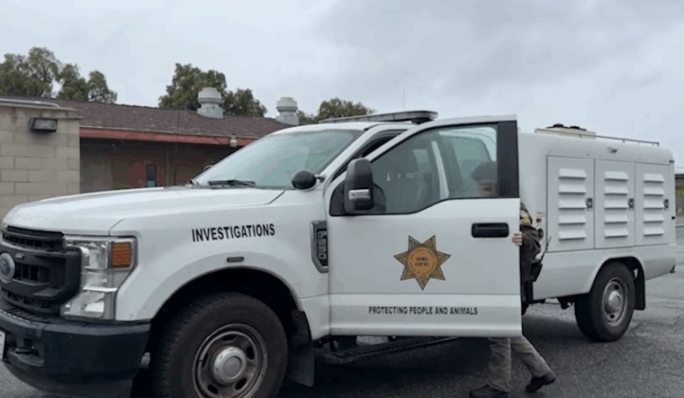 County Animal Services Launches Legal Probe into Alleged Horse Neglect in Rancho Santa Fe