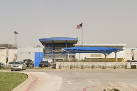 Dallas Animal Services Imposes Admissions Limits Due to Canine Distemper Virus Outbreak