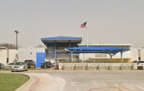 Dallas Animal Services Imposes Admissions Limits Due to Canine Distemper Virus Outbreak