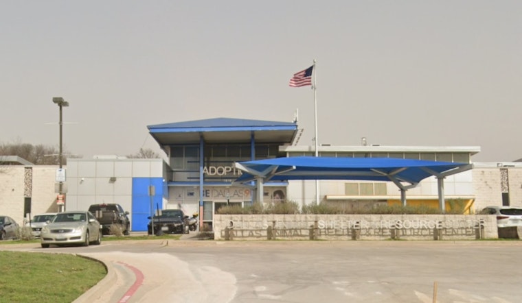 Dallas Animal Services Imposes Admissions Limits Due to Canine Distemper Virus Outbreak