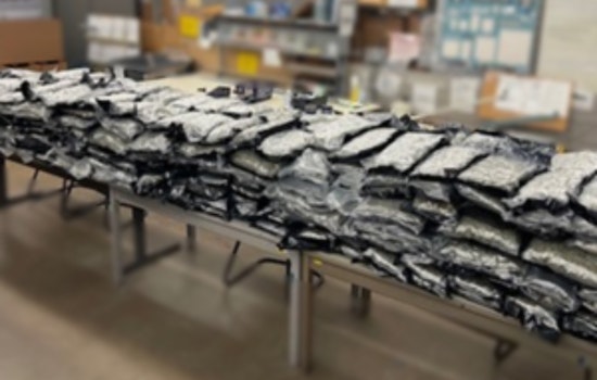 Dallas Police Nab Nearly 400 Pounds of Marijuana, Suspect Charged in Major Drug Bust