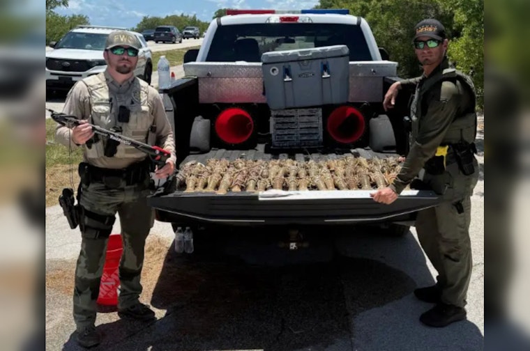 Davie Trio Accused of Illegal Lobster Harvesting in Islamorada Facing Multiple Charges