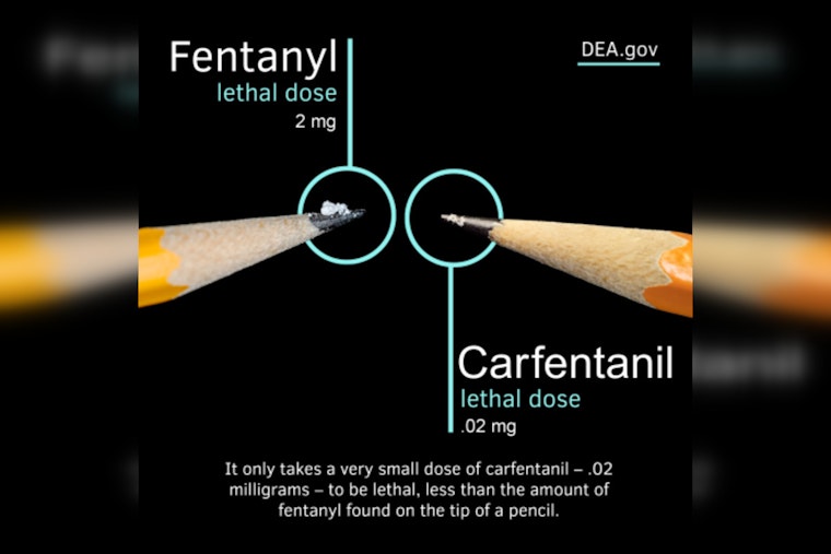 DEA Flags Carfentanil Surge in Phoenix, A Deadly Gamble on America's Streets