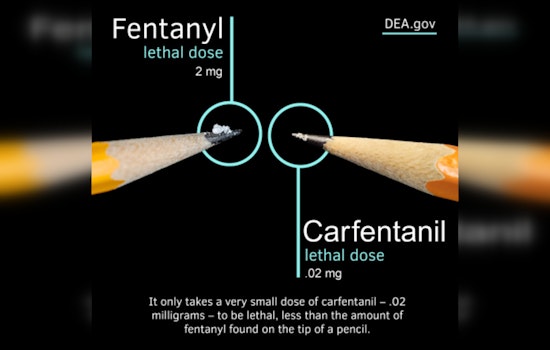 DEA Flags Carfentanil Surge in Phoenix, A Deadly Gamble on America's Streets