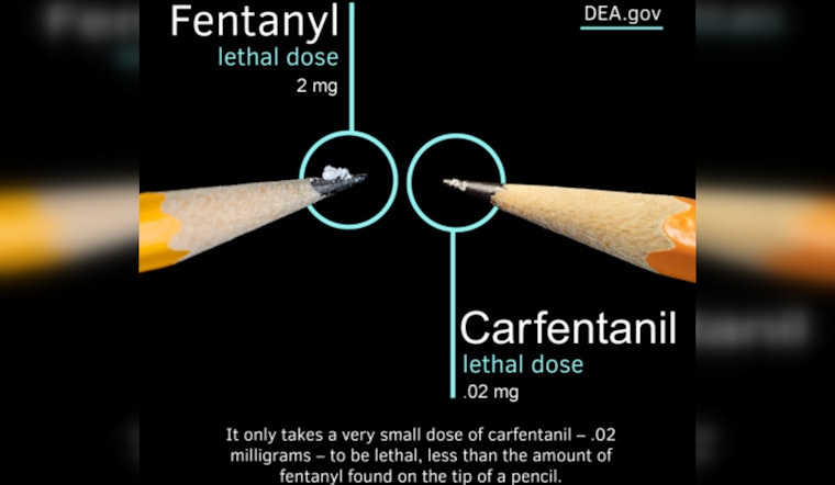 DEA Flags Carfentanil Surge in Phoenix, A Deadly Gamble on America's Streets
