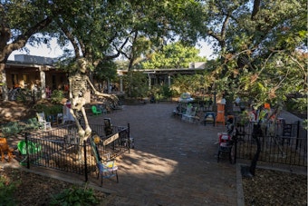 Denton's "Scary Chairy Orchard" Art Installation to Return This October with Community Crafted Spooky Seats