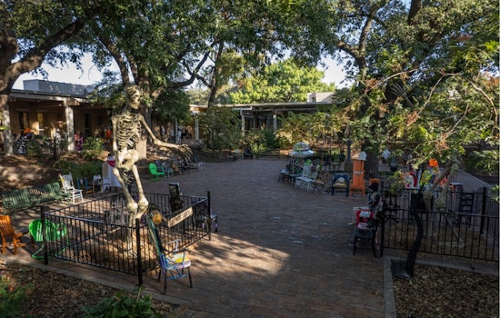 Denton's "Scary Chairy Orchard" Art Installation to Return This October with Community Crafted Spooky Seats