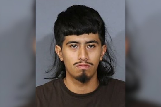 DeSoto Traffic Stop Leads to Recovery of Drugs and Stolen Firearm, Dallas Resident Charged