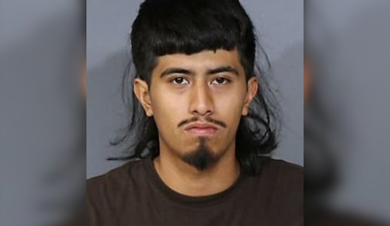 DeSoto Traffic Stop Leads to Recovery of Drugs and Stolen Firearm, Dallas Resident Charged