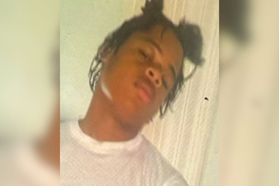 Detroit Police Seek Public Help in Search for Missing Teen Christeon Huguely