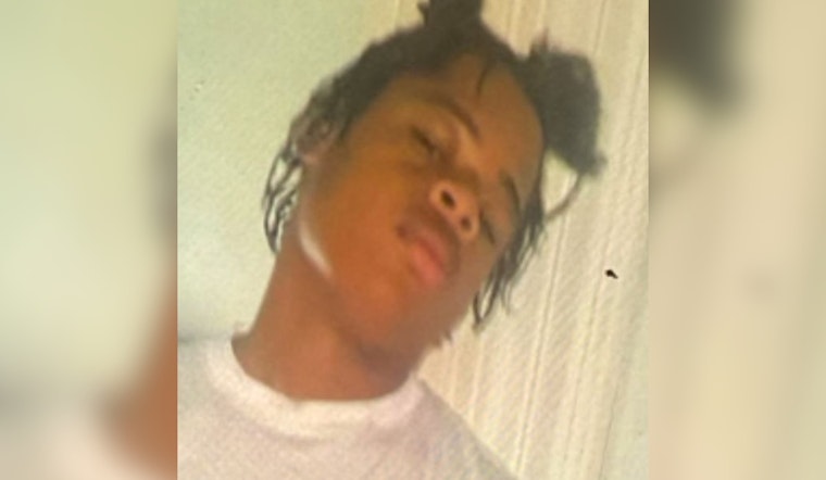 Detroit Police Seek Public Help in Search for Missing Teen Christeon Huguely