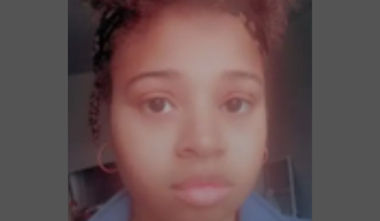 Detroit Police Seek Public's Aid in Finding Missing 27-Year-Old Crystal Brown Last Seen Near Ewald Circle