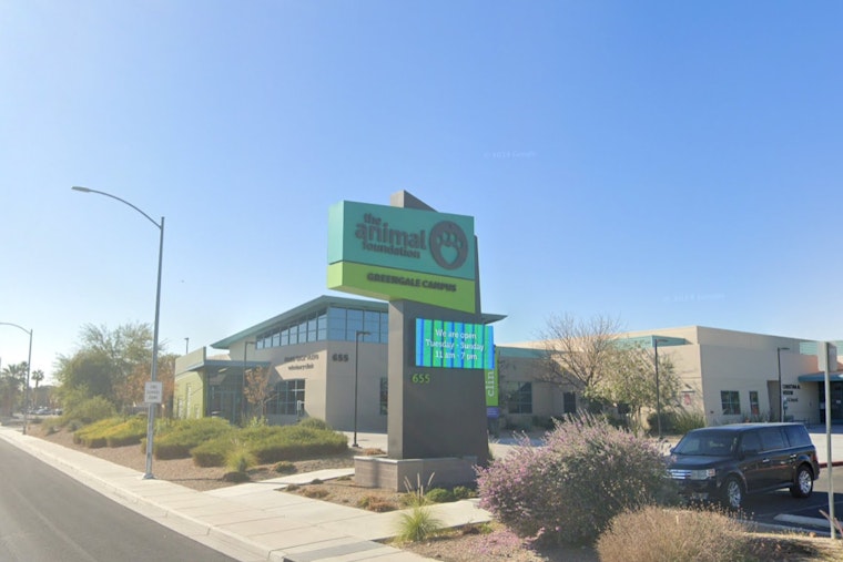 Disco-Themed 'Monday Night Fever' Aims to Find Forever Homes With Fee-Waived Pet Adoptions in Las Vegas