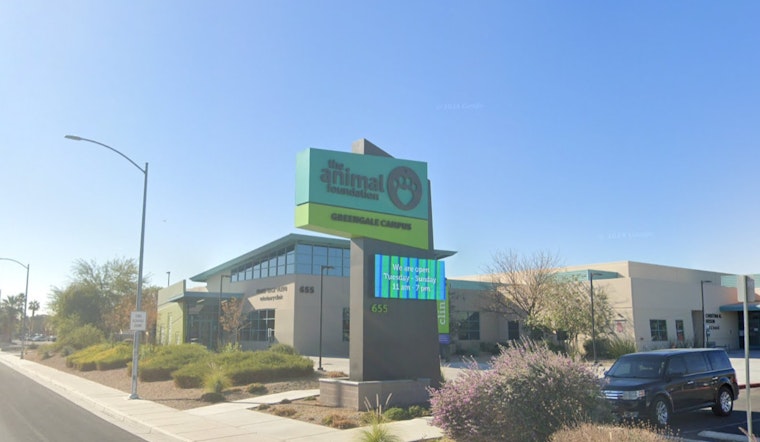 Disco-Themed 'Monday Night Fever' Aims to Find Forever Homes With Fee-Waived Pet Adoptions in Las Vegas