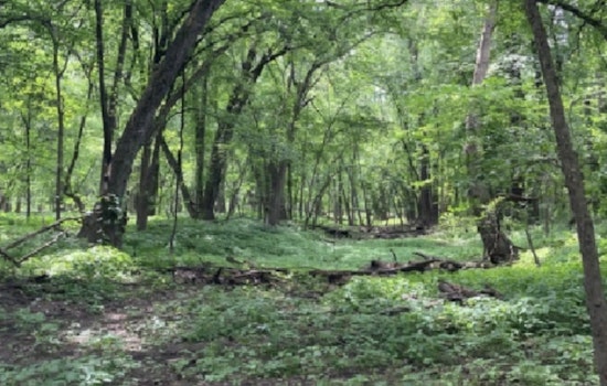 Discover the Healing Power of Nature with ANFT-Certified Guide at Cleary Lake Regional Park's Forest Bathing Event