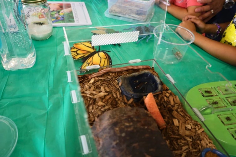 Discover the World Beyond Farming, Hillsborough County 4-H Open House at Florida State Fairgrounds in Tampa