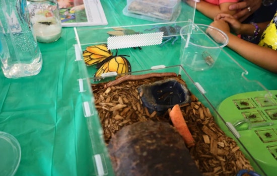 Discover the World Beyond Farming, Hillsborough County 4-H Open House at Florida State Fairgrounds in Tampa