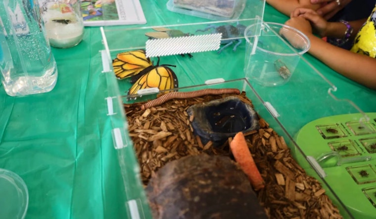 Discover the World Beyond Farming, Hillsborough County 4-H Open House at Florida State Fairgrounds in Tampa
