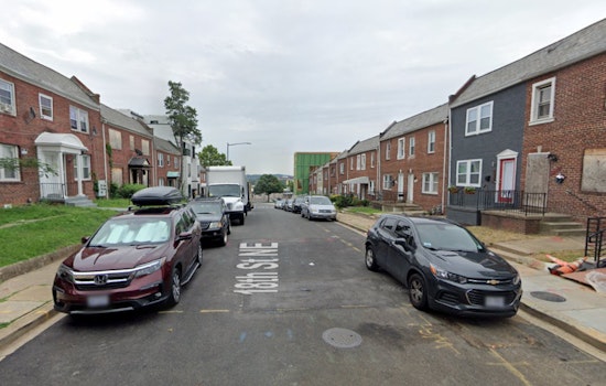 $5,000 Reward Offered After Rescue Dog Fatally Shot in Northeast D.C.