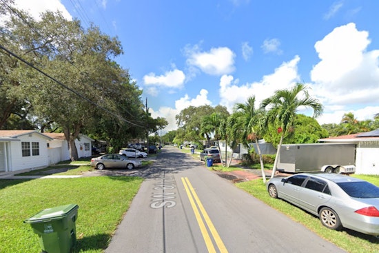 $5,000 Reward Offered for Information on Suspect Who Shot Community Cat with Blowgun Dart in Hallandale Beach