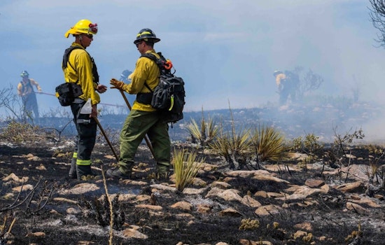 Douglas County Sheriff Imposes Stage 1 Fire Restrictions to Mitigate Wildfire Risks