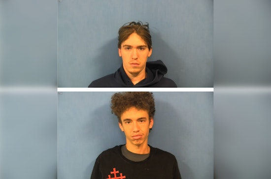DuPage County Judge Denies Bail for Suspects Accused of Daylight Robbery During Console Sale in Westmont