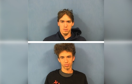 DuPage County Judge Denies Bail for Suspects Accused of Daylight Robbery During Console Sale in Westmont