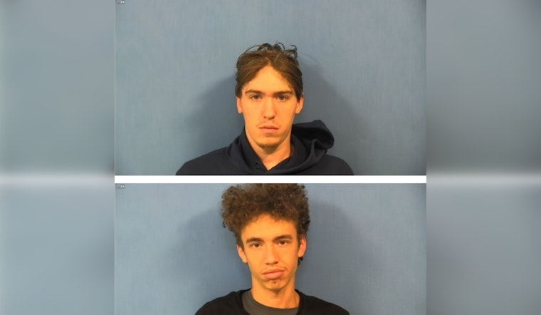 DuPage County Judge Denies Bail for Suspects Accused of Daylight Robbery During Console Sale in Westmont