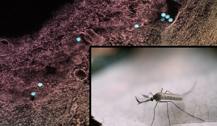 Dublin Neighborhoods Brace for Mosquito Spraying as West Nile Virus Looms