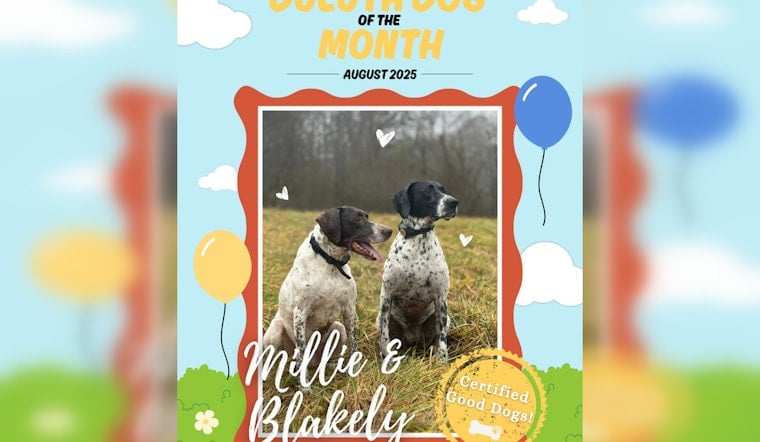 Duluth's Canine Companions Millie and Blakely Honored as August's Dogs of the Month for Eco-Friendly Efforts